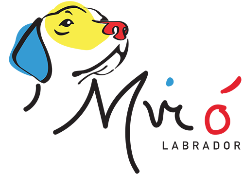 logo allevamento con outline di un cane labrado tutto colorato